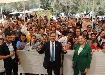 יריד אוכל, מיצגי אומנות ושלל אטרקציות: הסוכות ששווה לבקר בהן