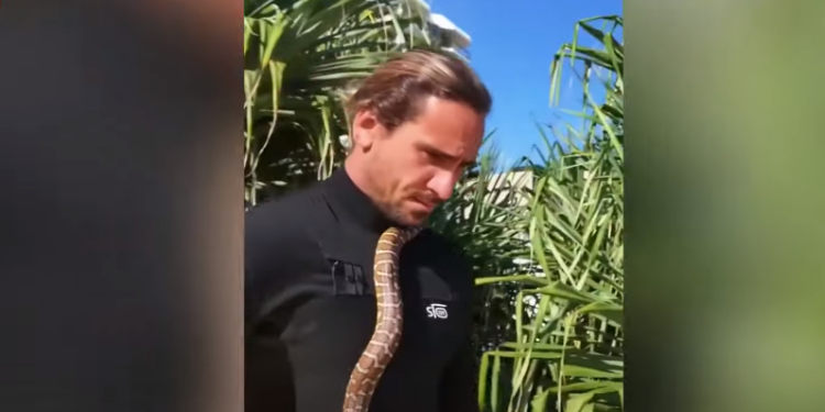 הגולש ונחש המחמד שלו. צילום מסך מיוטיוב אוסטרלי נקנס לאחר שלקח את חית המחמד הקטלנית שלו לסיבוב על הגלים