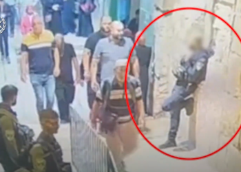 רצתה להיות שאהידית: הוארך מעצרה של המחבלת שניסתה לדקור שוטר