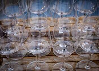 אותו זן ואותו תא שטח: ההבדל בטעם בין גפנים בוגרות מול גפנים צעירות