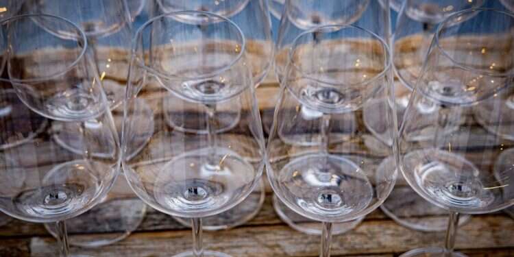 אותו זן ואותו תא שטח: ההבדל בטעם בין גפנים בוגרות מול גפנים צעירות