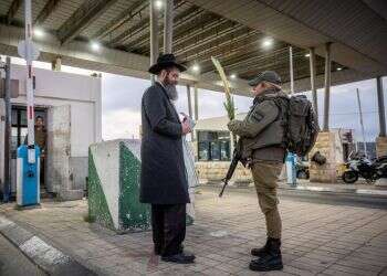 פעם האמנו בכור ההיתוך – הגיע הזמן להאמין בארבעת המינים