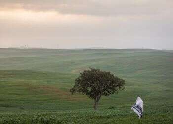 במילים "הרת עולם" אנחנו מתכוונים למשמעות עמוקה וגדולה