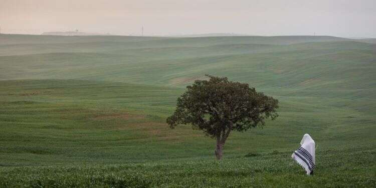 צילום: אהרון קרוהן/פלאש90 במילים "הרת עולם" אנחנו מתכוונים למשמעות עמוקה וגדולה