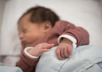 בעיני הרגולטור הישראלי כל יצרן ויבואן הוא מסוכן ועבריין