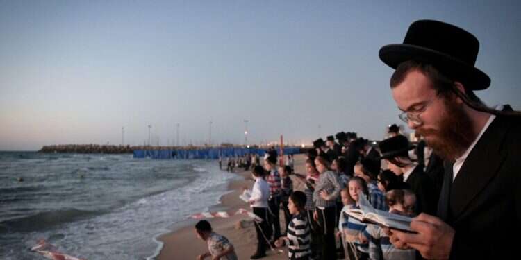 תשליך. צילום: יוסי זליגר/פלאש90 הרגע שבו במקום להסיט את העיניים צילמתי מסך ושיתפתי