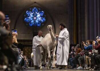 תנין, ינשוף ולמור: מאות בעלי חיים השתתפו בטקס מיוחד בקתדרלה בניו יורק