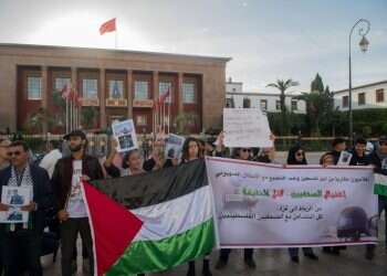 בכירים באקדמיה לעמיתיהם בחו"ל: גנו את הטבח ופעלו נגד הסתה בקמפוסים