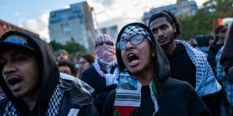 מפגינים נגד ישראל בניו-יורק. צילום: AFP מדוע האקדמיה מאדירה את הזוועות של חמאס