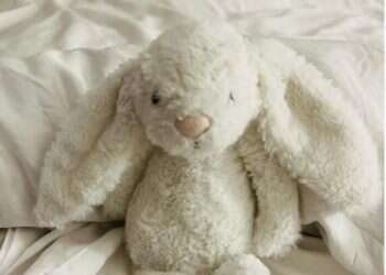 "אי אפשר להביא את הבובה מהבית שלהם, אבל אפשר למצוא את הבובה שהכי דומה לזה"