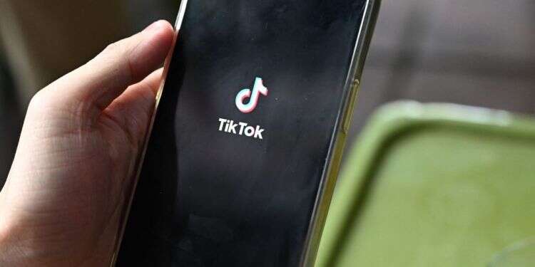 TikTok. צילום: ATP