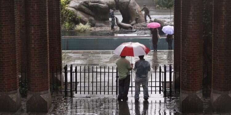 מדגסקר, הגרסה האמיתית: אריה ים ברח מגן החיות בניו יורק
