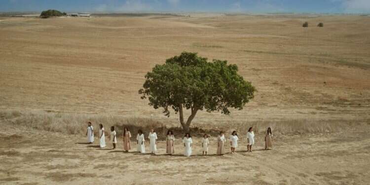 בתרונות רוחמה. מתוך התערוכה של שילת מזרחי. צילום: שילת מזרחי בתרונות רוחמה. מתוך התערוכה של שילת מזרחי