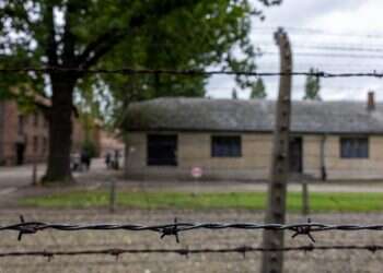 בתוך כל המוות יש שביבים דקים של תקווה, אמונה ואהבה