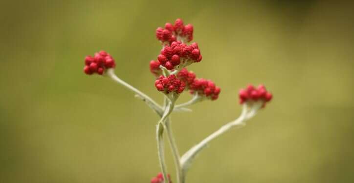 7 שאלות שתשאלו את עצמכם כדי לתפקד בתוך האבל הלאומי