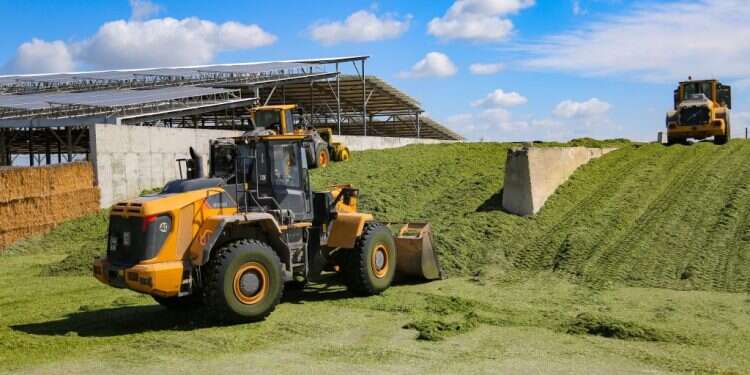 חקלאות בעוטף עזה. צילום: פלאש 90 "האומנם המחבלים פשוט דילגו מעלינו? במה זכינו לנס כה גדול?"