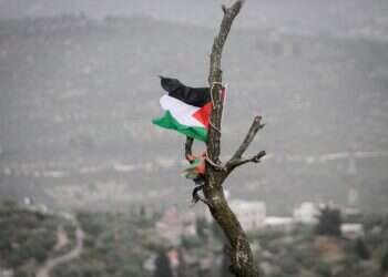 התפרעויות הסטודנטים הערבים בנתניה: "ראש העיר הבטיחה שהם יפונו – מחכים לראות שזה קורה"