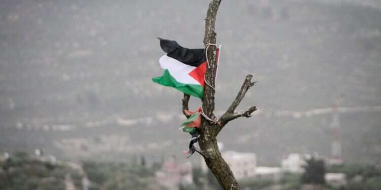 דגל פלסטין מונף בישראל. צילום: נאסר אישתיה/פלאש90
     התפרעויות הסטודנטים הערבים בנתניה: "ראש העיר הבטיחה שהם יפונו – מחכים לראות שזה קורה"