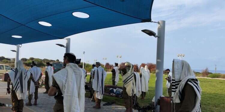 צילום: גילעד גולדברג