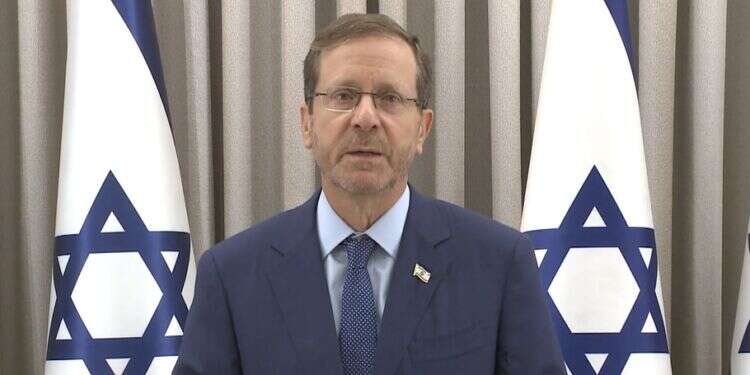 הנשיא הרצוג, צילום: אבי קנר הנשיא הרצוג למשפחות החטופים: "אנחנו במלחמה וצריך לקחת את זה בחשבון"