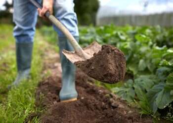 עד שיהיה שם נורמלי: 10 שאלות על "חרבות ברזל"