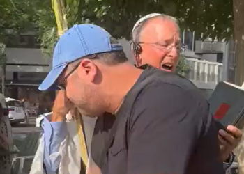 "מי שדחף את ליאו די – זה בית המשפט"