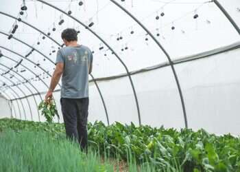 דווקא עכשיו: מחזקים את העסקים בעוטף עזה