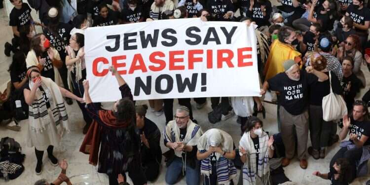 הפגנת ארגונים יהודים פרוגרסיביים בוושינגטון למען הפסקת אש בעזה. צילום: איי.אף.פי יהודי ארה"ב גילו שהם המיעוט היחיד במדינה שלא זכאי להגנה
