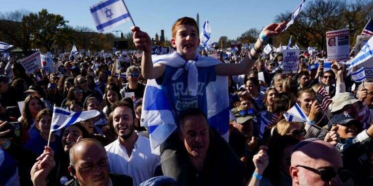 המצעד למען ישראל בוושינגטון. צילום: אי.פי.אי יהודי ארה"ב גילו שהם המיעוט היחיד במדינה שלא זכאי להגנה