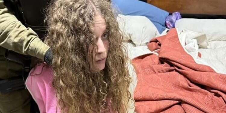 "אתם תגידו שמה שהיטלר עשה לכם היה בדיחה": כוחות צה"ל עצרו את עהד תמימי