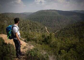 המהפך של יעקב: מהבן הכנוע של אמא לאיש שמעמת עם לבן
