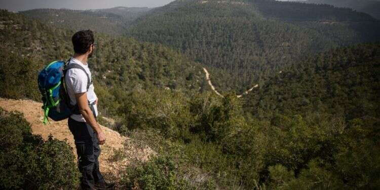 המהפך של יעקב: מהבן הכנוע של אמא לאיש שמעמת עם לבן