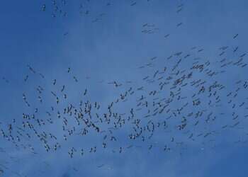 חם מהרגיל לעונה: תחזית מזג האוויר