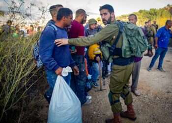 לא מתחשבים במחאות: המסיק יימשך – באבטחת צה"ל