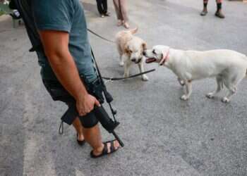 המדינה מתחמשת: יותר מ-180,000 בקשות לנשיאת נשק הוגשו מתחילת המלחמה