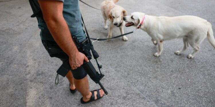 מוליך כלבים חמוש בתל-אביב. צילום: חיים גולדברג/פלאש 90 המדינה מתחמשת: יותר מ-180,000 בקשות לנשיאת נשק הוגשו מתחילת המלחמה