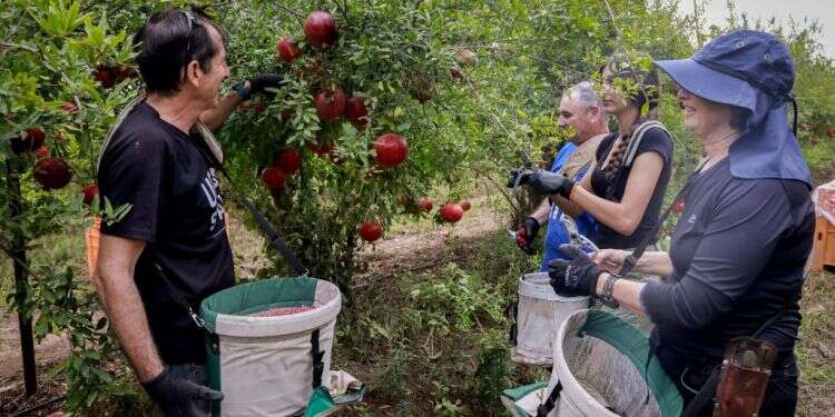את כל מה שנאמר על הדור הנוכחי צריך לזרוק לפח האשפה