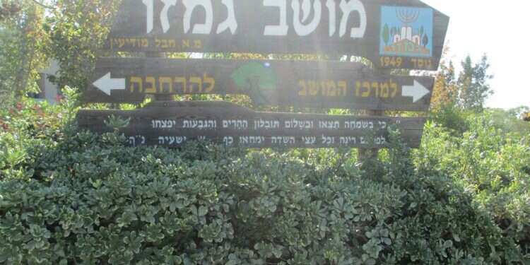 "הרגשנו שפושטים עלינו": ערבים הקיפו את גמזו והטילו אימה | תיעוד