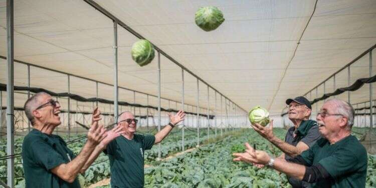 צילום: נעמה גרינבאום