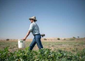 ג'ון פולצ'ר. צילום: נעמה גרינבאום