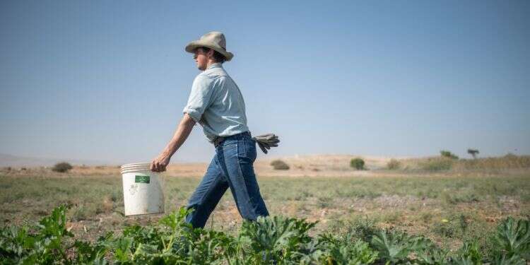 ג'ון פולצ'ר. צילום: נעמה גרינבאום