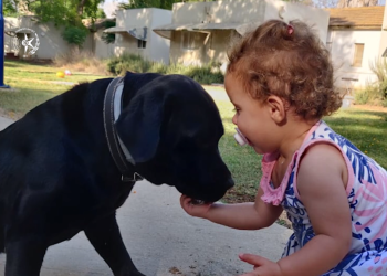 במשטרה חלקו כבוד אחרון לכלבה הגיבורה שהצילה את משפחתה ממחבלים