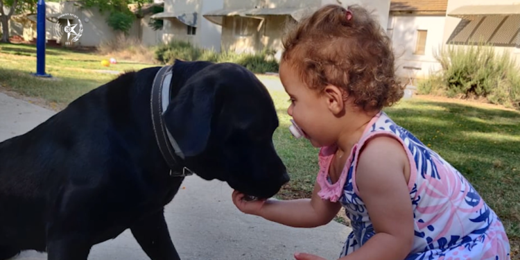 במשטרה חלקו כבוד אחרון לכלבה הגיבורה שהצילה את משפחתה ממחבלים