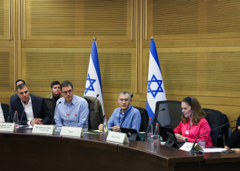 2 מיליארד ש"ח והעלאת שכר הפסיכיאטרים: הוצגה "תוכנית לאומית לחוסן ובריאות נפשית"