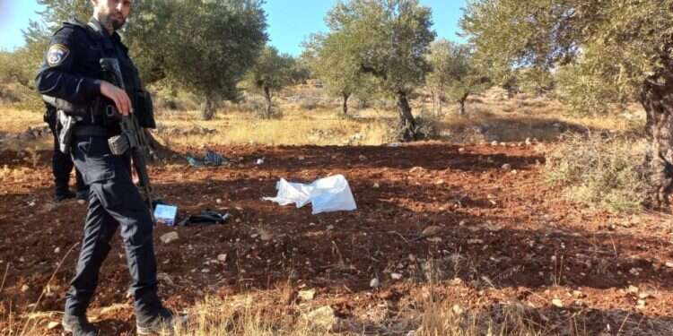 זירת האירוע סמוך לצומת רימונים העימות בצומת רימונים: טענות ל"אלימות המתנחלים" הפכו לייחוס ניסיון רצח ל-4 פלסטינים