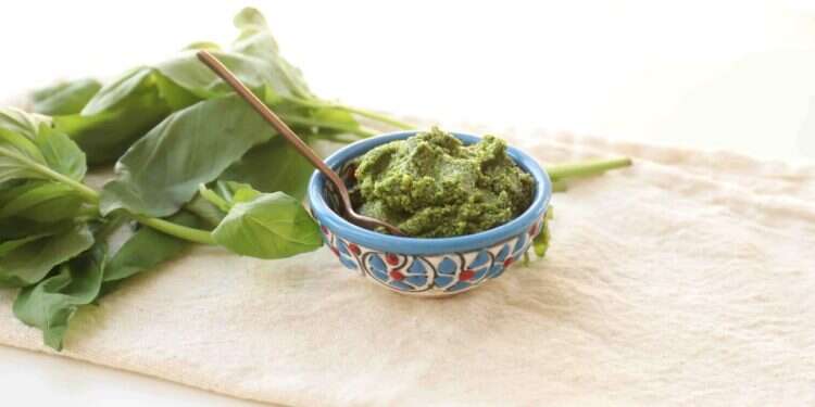 מתכוני בזיליקום: תבלין שעוזר קצת לרפא את הלב