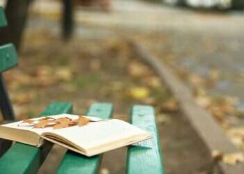 ספר אחד זרוק על ספסל הזכיר לי שיש מי שדואג לי שם למעלה