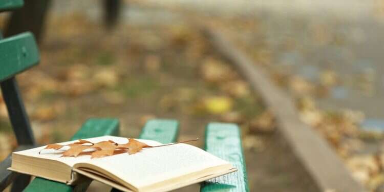 צילום: שאטרסטוק ספר אחד זרוק על ספסל הזכיר לי שיש מי שדואג לי שם למעלה