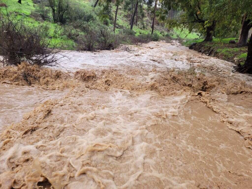 שמורת נחל דישון, בשיטפון. צילום: גיל בינון רשות הטבע והגנים