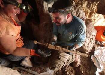 הוצאת החרבות מהכוך שבן הוסתרו במערה. צילום: אמיל אלדג'ם, רשות העתיקות תגלית של רשות העתיקות הגיעה למקום הראשון בדירוג של נשיונל ג'אוגרפיק